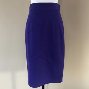 Purple Pencil Skirt Back Zipper Small
